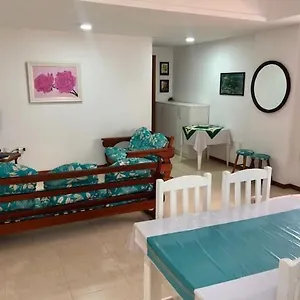 Palmas Brasil